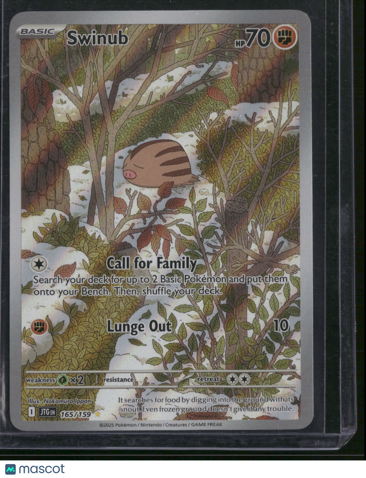2025 Journey Together Swinub Holo Secret Rare #165/159