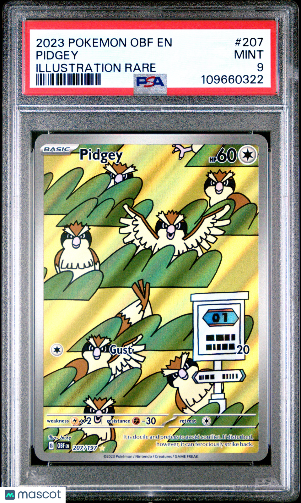2023 Pokemon Obf EN-Obsidian Flames Pidgey Illustration Rare PSA 9 #207