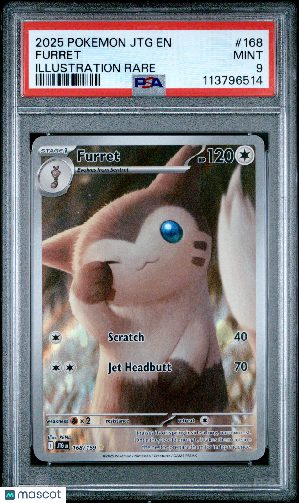 2025 Pokemon JTG EN-Journey Together Furret Illustration Rare PSA 9 #168