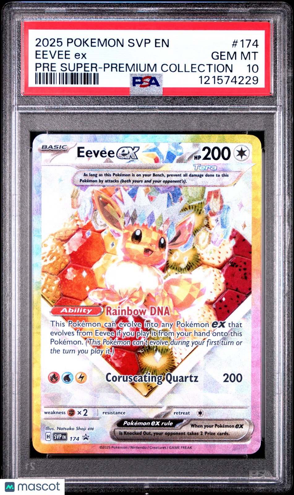 2025 Pokemon SVP EN-SV Promo Eevee EX Pre Super-Premium Collection PSA 10 #174