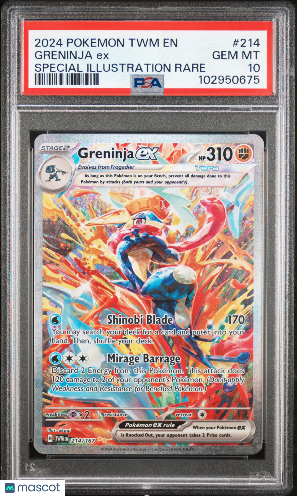 2024 Pokemon TWM EN-Twilight Masquerade Greninja EX Special Illustration Rare PSA 10 #214