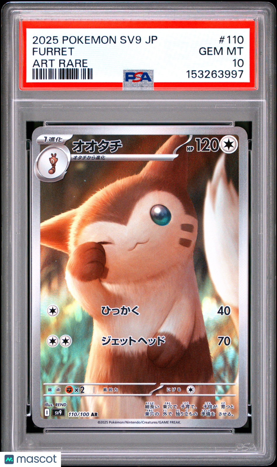 2025 Pokemon Japanese SV9-Battle Partners Furret Japanese Art Rare PSA 10 #110