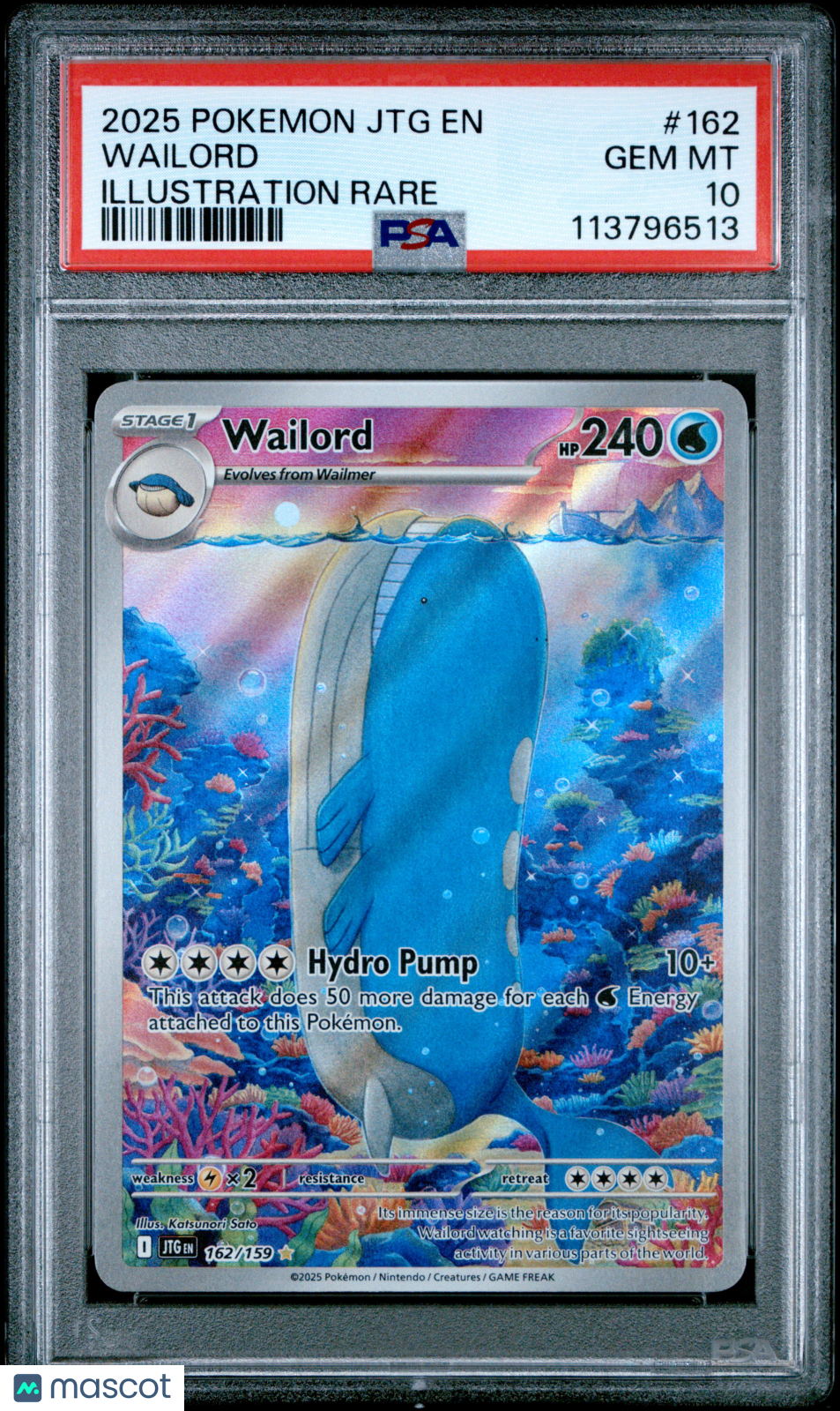 2025 Pokemon JTG EN-Journey Together Wailord Illustration Rare PSA 10 #162