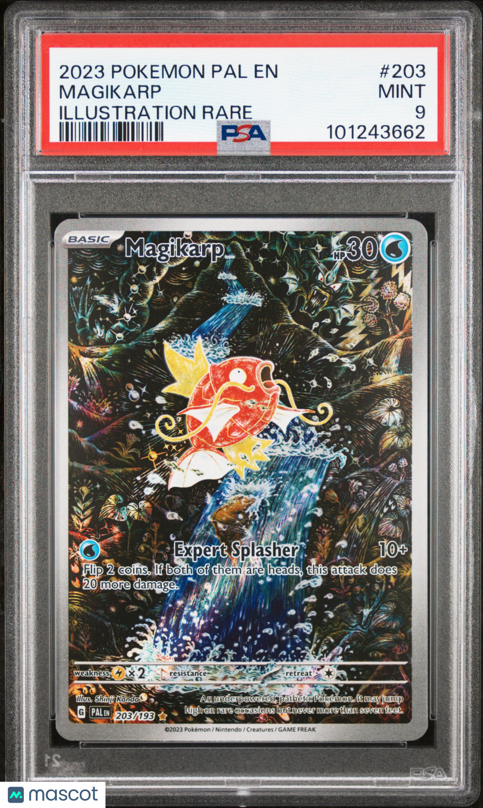 2023 Pokemon Pal EN-Paldea Evolved Magikarp Illustration Rare PSA 9 #203