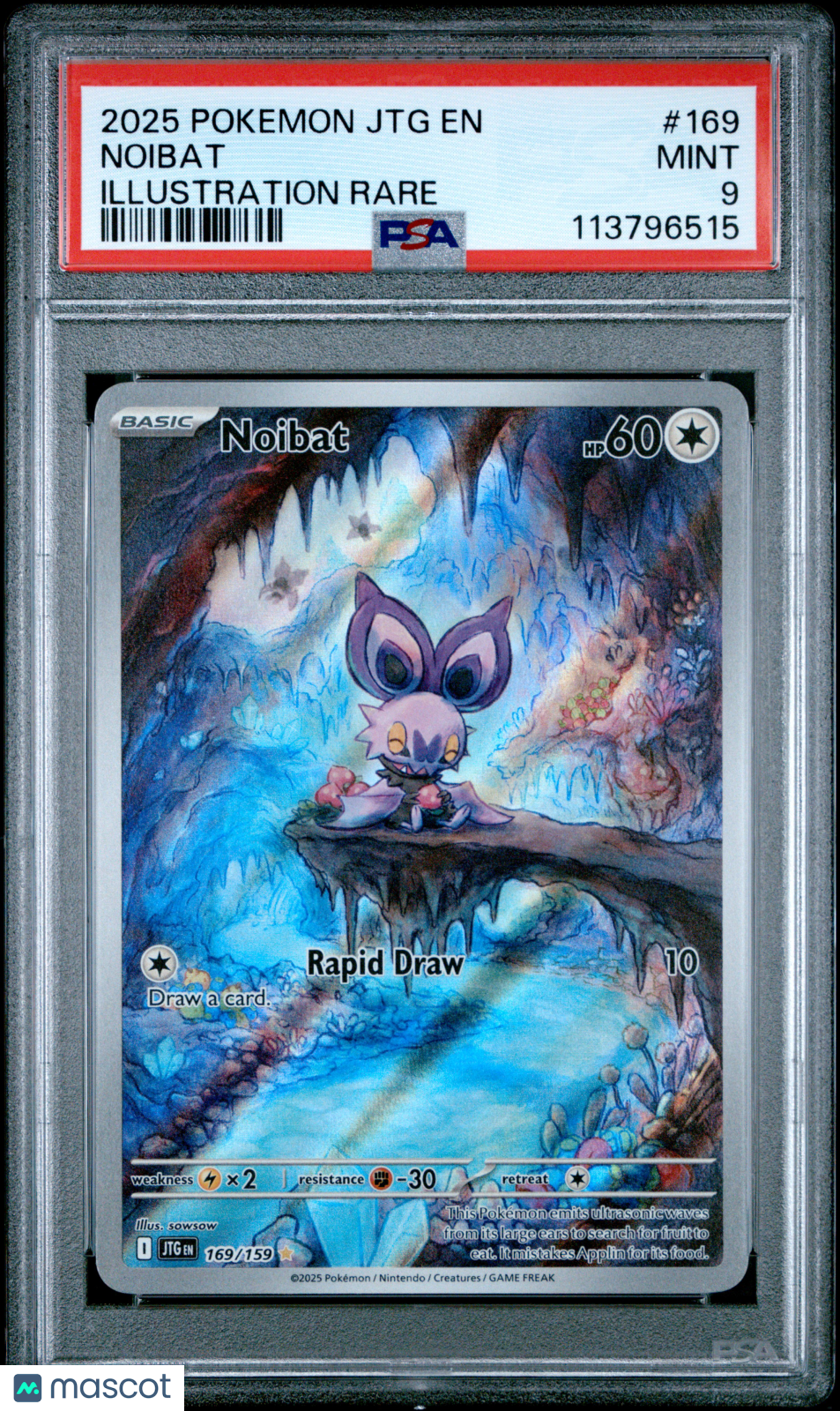 2025 Pokemon JTG EN-Journey Together Noibat Illustration Rare PSA 9 #169